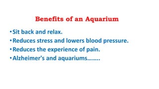Benefits of an Aquarium
•Sit back and relax.
•Reduces stress and lowers blood pressure.
•Reduces the experience of pain.
•Alzheimer's and aquariums……..
 