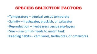 SPECIES SELECTION FACTORS
• Temperature – tropical versus temperate
• Salinity – freshwater, brackish, or saltwater
• Reproduction – livebearers versus egg-layers
• Size – size of fish needs to match tank
• Feeding habits – carnivores, herbivores, or omnivores
 