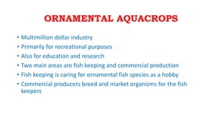 ORNAMENTAL AQUACROPS
• Multimillion dollar industry
• Primarily for recreational purposes
• Also for education and research
• Two main areas are fish keeping and commercial production
• Fish keeping is caring for ornamental fish species as a hobby
• Commercial producers breed and market organisms for the fish
keepers
 