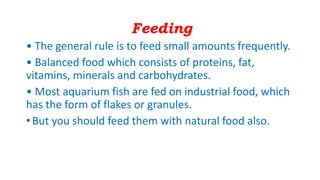Feeding
• The general rule is to feed small amounts frequently.
• Balanced food which consists of proteins, fat,
vitamins, minerals and carbohydrates.
• Most aquarium fish are fed on industrial food, which
has the form of flakes or granules.
•But you should feed them with natural food also.
 