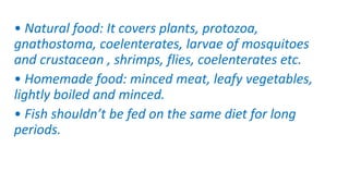 • Natural food: It covers plants, protozoa,
gnathostoma, coelenterates, larvae of mosquitoes
and crustacean , shrimps, flies, coelenterates etc.
• Homemade food: minced meat, leafy vegetables,
lightly boiled and minced.
• Fish shouldn’t be fed on the same diet for long
periods.
 