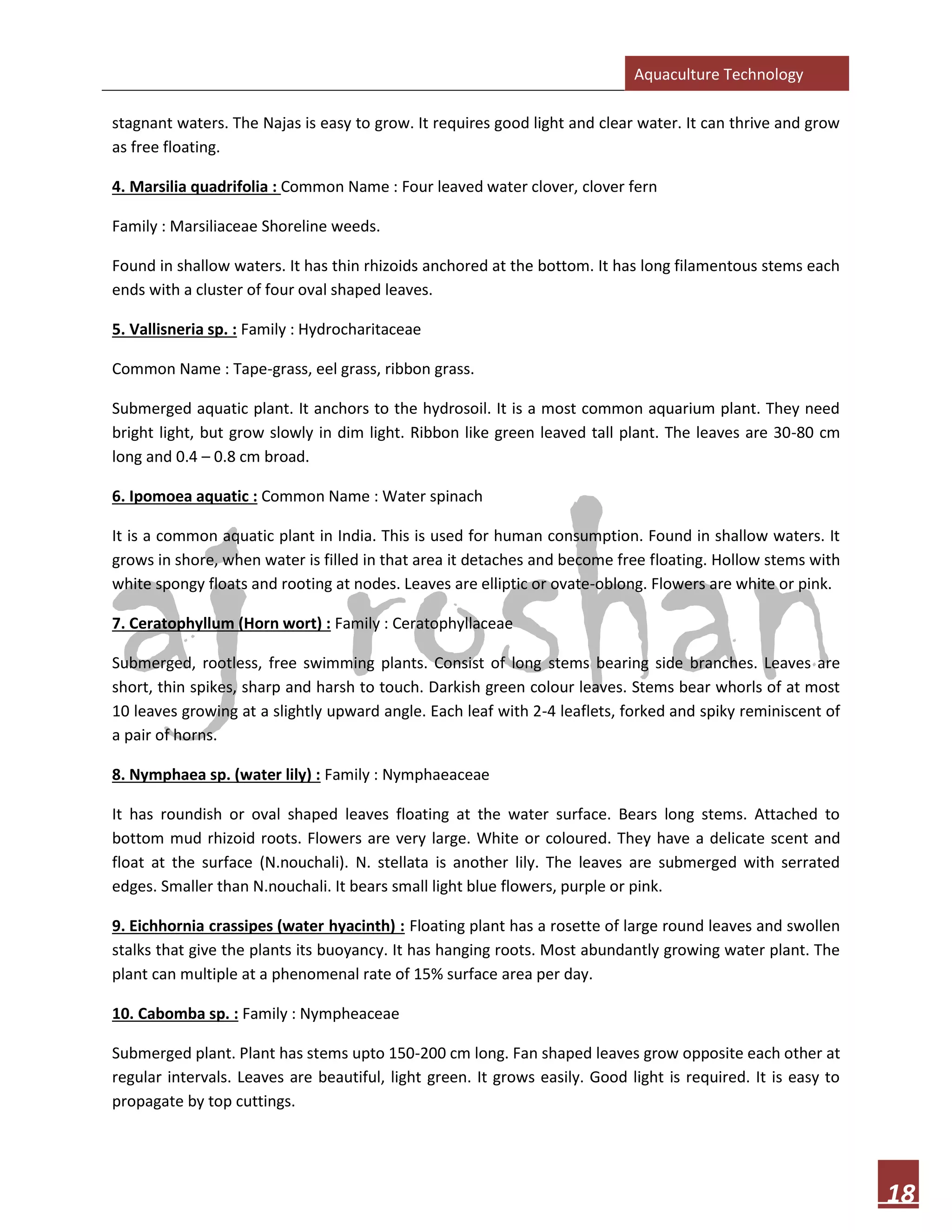 Aquaculture Technology
18
stagnant waters. The Najas is easy to grow. It requires good light and clear water. It can thrive and grow
as free floating.
4. Marsilia quadrifolia : Common Name : Four leaved water clover, clover fern
Family : Marsiliaceae Shoreline weeds.
Found in shallow waters. It has thin rhizoids anchored at the bottom. It has long filamentous stems each
ends with a cluster of four oval shaped leaves.
5. Vallisneria sp. : Family : Hydrocharitaceae
Common Name : Tape-grass, eel grass, ribbon grass.
Submerged aquatic plant. It anchors to the hydrosoil. It is a most common aquarium plant. They need
bright light, but grow slowly in dim light. Ribbon like green leaved tall plant. The leaves are 30-80 cm
long and 0.4 – 0.8 cm broad.
6. Ipomoea aquatic : Common Name : Water spinach
It is a common aquatic plant in India. This is used for human consumption. Found in shallow waters. It
grows in shore, when water is filled in that area it detaches and become free floating. Hollow stems with
white spongy floats and rooting at nodes. Leaves are elliptic or ovate-oblong. Flowers are white or pink.
7. Ceratophyllum (Horn wort) : Family : Ceratophyllaceae
Submerged, rootless, free swimming plants. Consist of long stems bearing side branches. Leaves are
short, thin spikes, sharp and harsh to touch. Darkish green colour leaves. Stems bear whorls of at most
10 leaves growing at a slightly upward angle. Each leaf with 2-4 leaflets, forked and spiky reminiscent of
a pair of horns.
8. Nymphaea sp. (water lily) : Family : Nymphaeaceae
It has roundish or oval shaped leaves floating at the water surface. Bears long stems. Attached to
bottom mud rhizoid roots. Flowers are very large. White or coloured. They have a delicate scent and
float at the surface (N.nouchali). N. stellata is another lily. The leaves are submerged with serrated
edges. Smaller than N.nouchali. It bears small light blue flowers, purple or pink.
9. Eichhornia crassipes (water hyacinth) : Floating plant has a rosette of large round leaves and swollen
stalks that give the plants its buoyancy. It has hanging roots. Most abundantly growing water plant. The
plant can multiple at a phenomenal rate of 15% surface area per day.
10. Cabomba sp. : Family : Nympheaceae
Submerged plant. Plant has stems upto 150-200 cm long. Fan shaped leaves grow opposite each other at
regular intervals. Leaves are beautiful, light green. It grows easily. Good light is required. It is easy to
propagate by top cuttings.
 