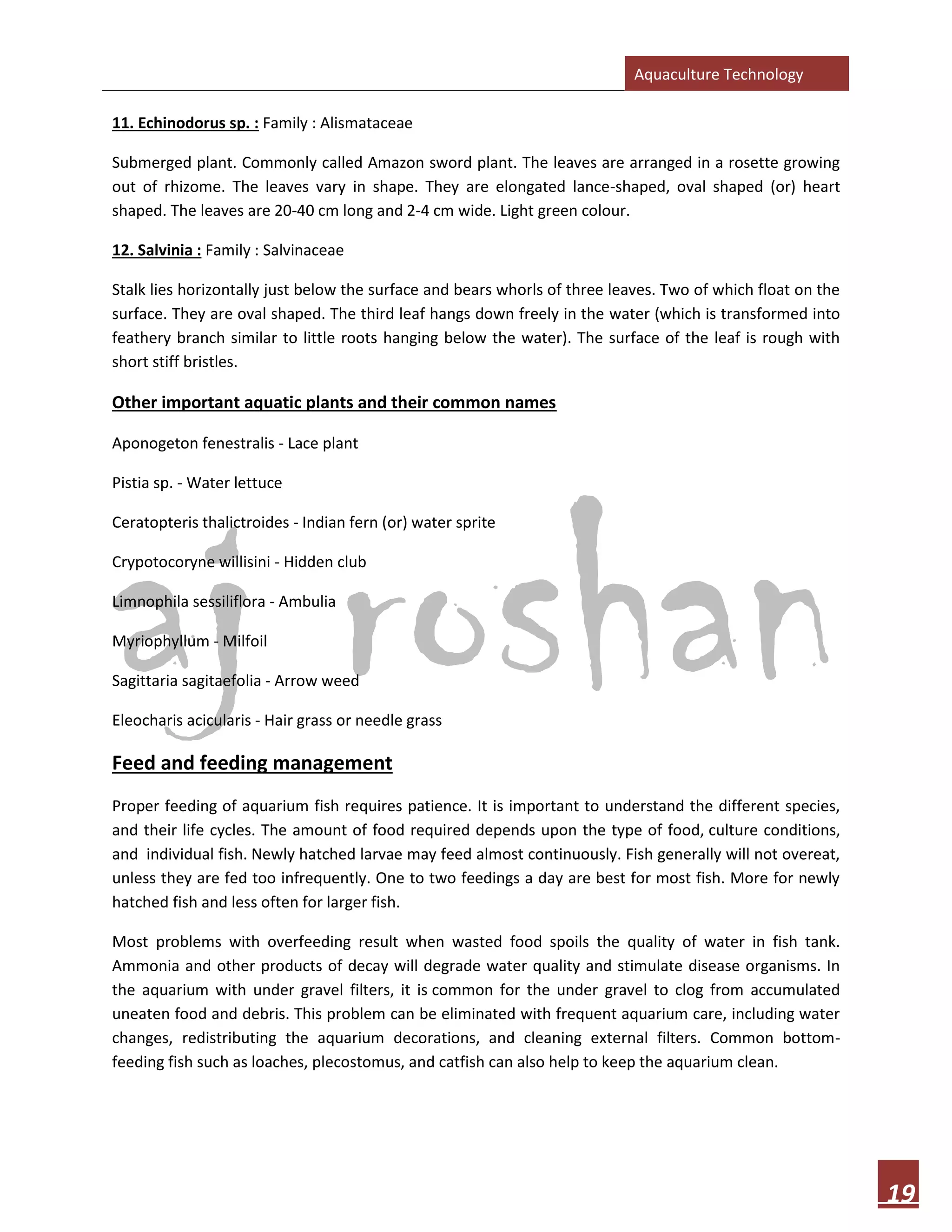 Aquaculture Technology
19
11. Echinodorus sp. : Family : Alismataceae
Submerged plant. Commonly called Amazon sword plant. The leaves are arranged in a rosette growing
out of rhizome. The leaves vary in shape. They are elongated lance-shaped, oval shaped (or) heart
shaped. The leaves are 20-40 cm long and 2-4 cm wide. Light green colour.
12. Salvinia : Family : Salvinaceae
Stalk lies horizontally just below the surface and bears whorls of three leaves. Two of which float on the
surface. They are oval shaped. The third leaf hangs down freely in the water (which is transformed into
feathery branch similar to little roots hanging below the water). The surface of the leaf is rough with
short stiff bristles.
Other important aquatic plants and their common names
Aponogeton fenestralis - Lace plant
Pistia sp. - Water lettuce
Ceratopteris thalictroides - Indian fern (or) water sprite
Crypotocoryne willisini - Hidden club
Limnophila sessiliflora - Ambulia
Myriophyllum - Milfoil
Sagittaria sagitaefolia - Arrow weed
Eleocharis acicularis - Hair grass or needle grass
Feed and feeding management
Proper feeding of aquarium fish requires patience. It is important to understand the different species,
and their life cycles. The amount of food required depends upon the type of food, culture conditions,
and individual fish. Newly hatched larvae may feed almost continuously. Fish generally will not overeat,
unless they are fed too infrequently. One to two feedings a day are best for most fish. More for newly
hatched fish and less often for larger fish.
Most problems with overfeeding result when wasted food spoils the quality of water in fish tank.
Ammonia and other products of decay will degrade water quality and stimulate disease organisms. In
the aquarium with under gravel filters, it is common for the under gravel to clog from accumulated
uneaten food and debris. This problem can be eliminated with frequent aquarium care, including water
changes, redistributing the aquarium decorations, and cleaning external filters. Common bottom-
feeding fish such as loaches, plecostomus, and catfish can also help to keep the aquarium clean.
 