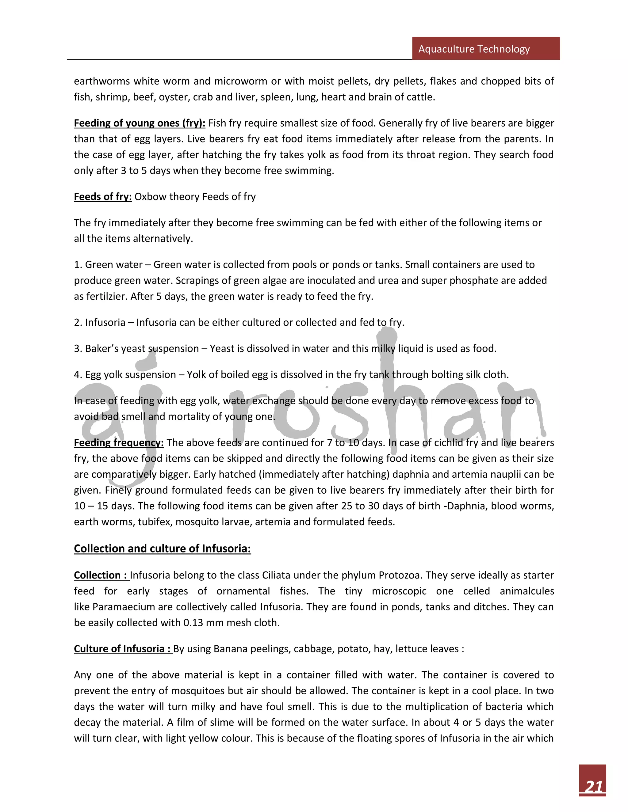 Aquaculture Technology
21
earthworms white worm and microworm or with moist pellets, dry pellets, flakes and chopped bits of
fish, shrimp, beef, oyster, crab and liver, spleen, lung, heart and brain of cattle.
Feeding of young ones (fry): Fish fry require smallest size of food. Generally fry of live bearers are bigger
than that of egg layers. Live bearers fry eat food items immediately after release from the parents. In
the case of egg layer, after hatching the fry takes yolk as food from its throat region. They search food
only after 3 to 5 days when they become free swimming.
Feeds of fry: Oxbow theory Feeds of fry
The fry immediately after they become free swimming can be fed with either of the following items or
all the items alternatively.
1. Green water – Green water is collected from pools or ponds or tanks. Small containers are used to
produce green water. Scrapings of green algae are inoculated and urea and super phosphate are added
as fertilzier. After 5 days, the green water is ready to feed the fry.
2. Infusoria – Infusoria can be either cultured or collected and fed to fry.
3. Baker’s yeast suspension – Yeast is dissolved in water and this milky liquid is used as food.
4. Egg yolk suspension – Yolk of boiled egg is dissolved in the fry tank through bolting silk cloth.
In case of feeding with egg yolk, water exchange should be done every day to remove excess food to
avoid bad smell and mortality of young one.
Feeding frequency: The above feeds are continued for 7 to 10 days. In case of cichlid fry and live bearers
fry, the above food items can be skipped and directly the following food items can be given as their size
are comparatively bigger. Early hatched (immediately after hatching) daphnia and artemia nauplii can be
given. Finely ground formulated feeds can be given to live bearers fry immediately after their birth for
10 – 15 days. The following food items can be given after 25 to 30 days of birth -Daphnia, blood worms,
earth worms, tubifex, mosquito larvae, artemia and formulated feeds.
Collection and culture of Infusoria:
Collection : Infusoria belong to the class Ciliata under the phylum Protozoa. They serve ideally as starter
feed for early stages of ornamental fishes. The tiny microscopic one celled animalcules
like Paramaecium are collectively called Infusoria. They are found in ponds, tanks and ditches. They can
be easily collected with 0.13 mm mesh cloth.
Culture of Infusoria : By using Banana peelings, cabbage, potato, hay, lettuce leaves :
Any one of the above material is kept in a container filled with water. The container is covered to
prevent the entry of mosquitoes but air should be allowed. The container is kept in a cool place. In two
days the water will turn milky and have foul smell. This is due to the multiplication of bacteria which
decay the material. A film of slime will be formed on the water surface. In about 4 or 5 days the water
will turn clear, with light yellow colour. This is because of the floating spores of Infusoria in the air which
 