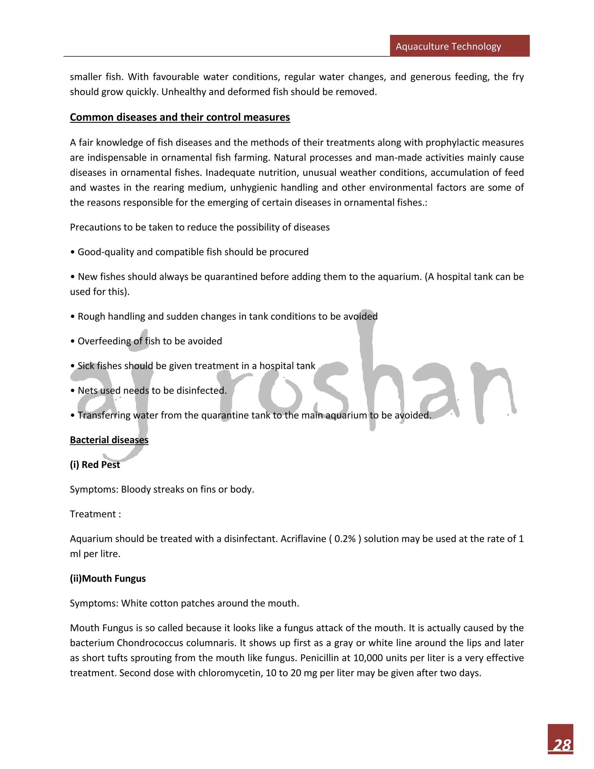 Aquaculture Technology
28
smaller fish. With favourable water conditions, regular water changes, and generous feeding, the fry
should grow quickly. Unhealthy and deformed fish should be removed.
Common diseases and their control measures
A fair knowledge of fish diseases and the methods of their treatments along with prophylactic measures
are indispensable in ornamental fish farming. Natural processes and man-made activities mainly cause
diseases in ornamental fishes. Inadequate nutrition, unusual weather conditions, accumulation of feed
and wastes in the rearing medium, unhygienic handling and other environmental factors are some of
the reasons responsible for the emerging of certain diseases in ornamental fishes.:
Precautions to be taken to reduce the possibility of diseases
• Good-quality and compatible fish should be procured
• New fishes should always be quarantined before adding them to the aquarium. (A hospital tank can be
used for this).
• Rough handling and sudden changes in tank conditions to be avoided
• Overfeeding of fish to be avoided
• Sick fishes should be given treatment in a hospital tank
• Nets used needs to be disinfected.
• Transferring water from the quarantine tank to the main aquarium to be avoided.
Bacterial diseases
(i) Red Pest
Symptoms: Bloody streaks on fins or body.
Treatment :
Aquarium should be treated with a disinfectant. Acriflavine ( 0.2% ) solution may be used at the rate of 1
ml per litre.
(ii)Mouth Fungus
Symptoms: White cotton patches around the mouth.
Mouth Fungus is so called because it looks like a fungus attack of the mouth. It is actually caused by the
bacterium Chondrococcus columnaris. It shows up first as a gray or white line around the lips and later
as short tufts sprouting from the mouth like fungus. Penicillin at 10,000 units per liter is a very effective
treatment. Second dose with chloromycetin, 10 to 20 mg per liter may be given after two days.
 