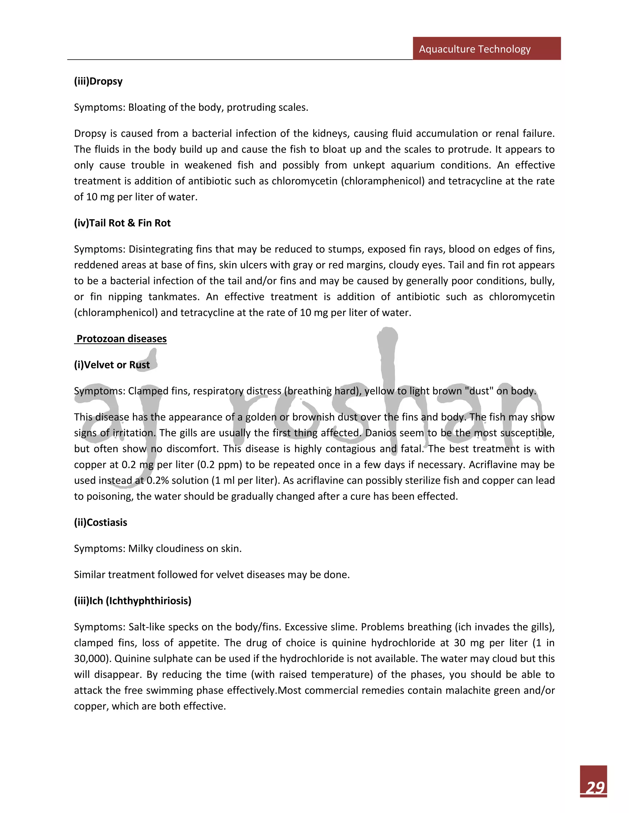 Aquaculture Technology
29
(iii)Dropsy
Symptoms: Bloating of the body, protruding scales.
Dropsy is caused from a bacterial infection of the kidneys, causing fluid accumulation or renal failure.
The fluids in the body build up and cause the fish to bloat up and the scales to protrude. It appears to
only cause trouble in weakened fish and possibly from unkept aquarium conditions. An effective
treatment is addition of antibiotic such as chloromycetin (chloramphenicol) and tetracycline at the rate
of 10 mg per liter of water.
(iv)Tail Rot & Fin Rot
Symptoms: Disintegrating fins that may be reduced to stumps, exposed fin rays, blood on edges of fins,
reddened areas at base of fins, skin ulcers with gray or red margins, cloudy eyes. Tail and fin rot appears
to be a bacterial infection of the tail and/or fins and may be caused by generally poor conditions, bully,
or fin nipping tankmates. An effective treatment is addition of antibiotic such as chloromycetin
(chloramphenicol) and tetracycline at the rate of 10 mg per liter of water.
Protozoan diseases
(i)Velvet or Rust
Symptoms: Clamped fins, respiratory distress (breathing hard), yellow to light brown "dust" on body.
This disease has the appearance of a golden or brownish dust over the fins and body. The fish may show
signs of irritation. The gills are usually the first thing affected. Danios seem to be the most susceptible,
but often show no discomfort. This disease is highly contagious and fatal. The best treatment is with
copper at 0.2 mg per liter (0.2 ppm) to be repeated once in a few days if necessary. Acriflavine may be
used instead at 0.2% solution (1 ml per liter). As acriflavine can possibly sterilize fish and copper can lead
to poisoning, the water should be gradually changed after a cure has been effected.
(ii)Costiasis
Symptoms: Milky cloudiness on skin.
Similar treatment followed for velvet diseases may be done.
(iii)Ich (Ichthyphthiriosis)
Symptoms: Salt-like specks on the body/fins. Excessive slime. Problems breathing (ich invades the gills),
clamped fins, loss of appetite. The drug of choice is quinine hydrochloride at 30 mg per liter (1 in
30,000). Quinine sulphate can be used if the hydrochloride is not available. The water may cloud but this
will disappear. By reducing the time (with raised temperature) of the phases, you should be able to
attack the free swimming phase effectively.Most commercial remedies contain malachite green and/or
copper, which are both effective.
 