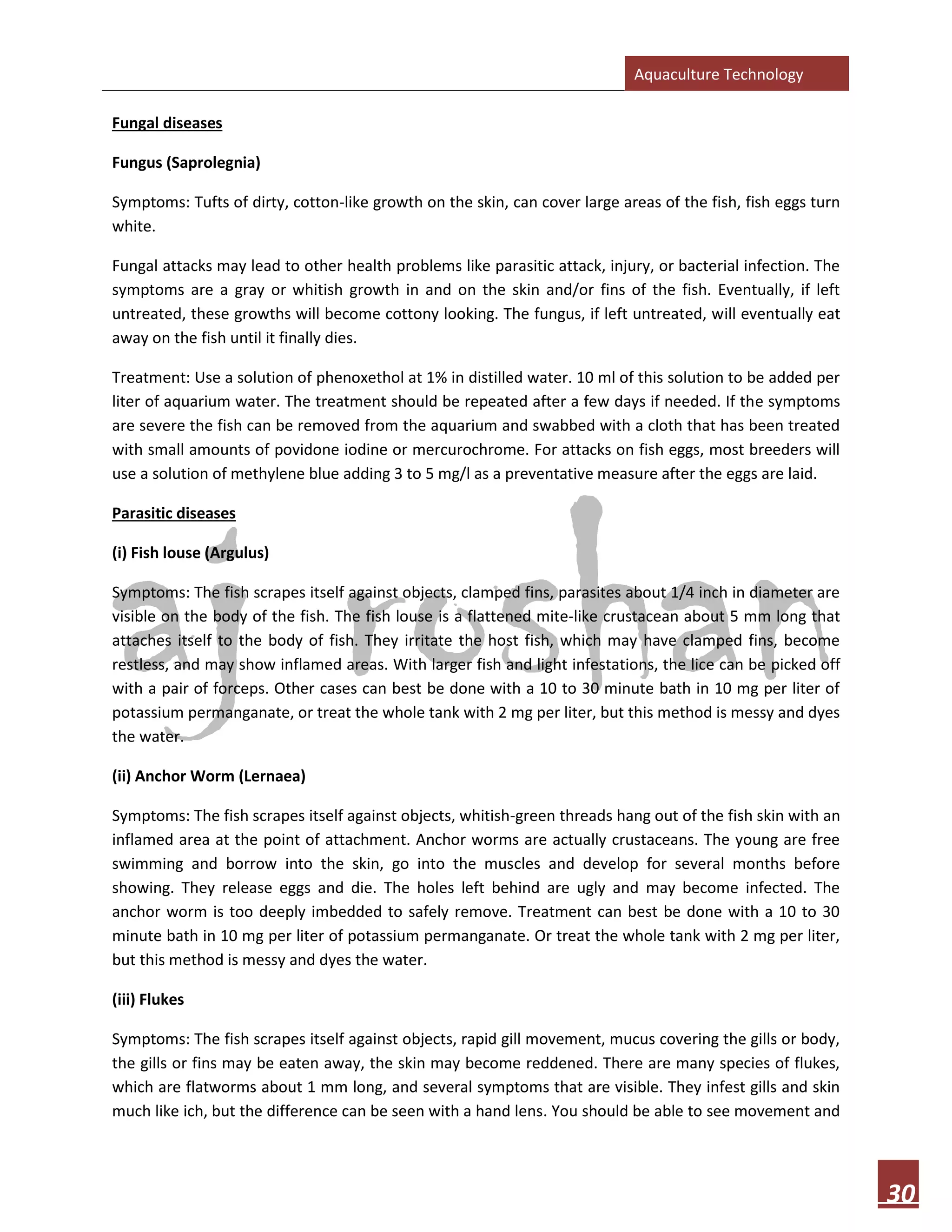 Aquaculture Technology
30
Fungal diseases
Fungus (Saprolegnia)
Symptoms: Tufts of dirty, cotton-like growth on the skin, can cover large areas of the fish, fish eggs turn
white.
Fungal attacks may lead to other health problems like parasitic attack, injury, or bacterial infection. The
symptoms are a gray or whitish growth in and on the skin and/or fins of the fish. Eventually, if left
untreated, these growths will become cottony looking. The fungus, if left untreated, will eventually eat
away on the fish until it finally dies.
Treatment: Use a solution of phenoxethol at 1% in distilled water. 10 ml of this solution to be added per
liter of aquarium water. The treatment should be repeated after a few days if needed. If the symptoms
are severe the fish can be removed from the aquarium and swabbed with a cloth that has been treated
with small amounts of povidone iodine or mercurochrome. For attacks on fish eggs, most breeders will
use a solution of methylene blue adding 3 to 5 mg/l as a preventative measure after the eggs are laid.
Parasitic diseases
(i) Fish louse (Argulus)
Symptoms: The fish scrapes itself against objects, clamped fins, parasites about 1/4 inch in diameter are
visible on the body of the fish. The fish louse is a flattened mite-like crustacean about 5 mm long that
attaches itself to the body of fish. They irritate the host fish, which may have clamped fins, become
restless, and may show inflamed areas. With larger fish and light infestations, the lice can be picked off
with a pair of forceps. Other cases can best be done with a 10 to 30 minute bath in 10 mg per liter of
potassium permanganate, or treat the whole tank with 2 mg per liter, but this method is messy and dyes
the water.
(ii) Anchor Worm (Lernaea)
Symptoms: The fish scrapes itself against objects, whitish-green threads hang out of the fish skin with an
inflamed area at the point of attachment. Anchor worms are actually crustaceans. The young are free
swimming and borrow into the skin, go into the muscles and develop for several months before
showing. They release eggs and die. The holes left behind are ugly and may become infected. The
anchor worm is too deeply imbedded to safely remove. Treatment can best be done with a 10 to 30
minute bath in 10 mg per liter of potassium permanganate. Or treat the whole tank with 2 mg per liter,
but this method is messy and dyes the water.
(iii) Flukes
Symptoms: The fish scrapes itself against objects, rapid gill movement, mucus covering the gills or body,
the gills or fins may be eaten away, the skin may become reddened. There are many species of flukes,
which are flatworms about 1 mm long, and several symptoms that are visible. They infest gills and skin
much like ich, but the difference can be seen with a hand lens. You should be able to see movement and
 