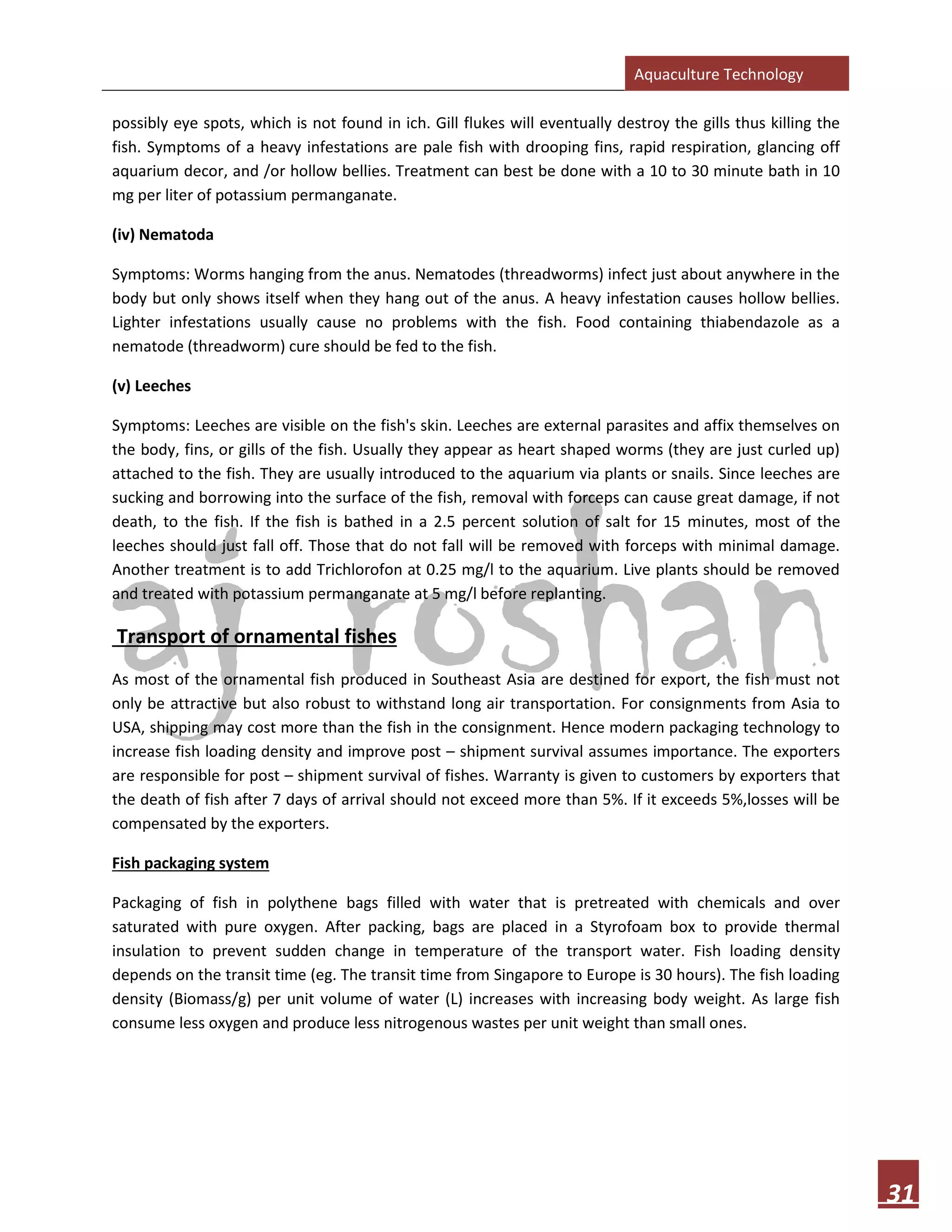 Aquaculture Technology
31
possibly eye spots, which is not found in ich. Gill flukes will eventually destroy the gills thus killing the
fish. Symptoms of a heavy infestations are pale fish with drooping fins, rapid respiration, glancing off
aquarium decor, and /or hollow bellies. Treatment can best be done with a 10 to 30 minute bath in 10
mg per liter of potassium permanganate.
(iv) Nematoda
Symptoms: Worms hanging from the anus. Nematodes (threadworms) infect just about anywhere in the
body but only shows itself when they hang out of the anus. A heavy infestation causes hollow bellies.
Lighter infestations usually cause no problems with the fish. Food containing thiabendazole as a
nematode (threadworm) cure should be fed to the fish.
(v) Leeches
Symptoms: Leeches are visible on the fish's skin. Leeches are external parasites and affix themselves on
the body, fins, or gills of the fish. Usually they appear as heart shaped worms (they are just curled up)
attached to the fish. They are usually introduced to the aquarium via plants or snails. Since leeches are
sucking and borrowing into the surface of the fish, removal with forceps can cause great damage, if not
death, to the fish. If the fish is bathed in a 2.5 percent solution of salt for 15 minutes, most of the
leeches should just fall off. Those that do not fall will be removed with forceps with minimal damage.
Another treatment is to add Trichlorofon at 0.25 mg/l to the aquarium. Live plants should be removed
and treated with potassium permanganate at 5 mg/l before replanting.
Transport of ornamental fishes
As most of the ornamental fish produced in Southeast Asia are destined for export, the fish must not
only be attractive but also robust to withstand long air transportation. For consignments from Asia to
USA, shipping may cost more than the fish in the consignment. Hence modern packaging technology to
increase fish loading density and improve post – shipment survival assumes importance. The exporters
are responsible for post – shipment survival of fishes. Warranty is given to customers by exporters that
the death of fish after 7 days of arrival should not exceed more than 5%. If it exceeds 5%,losses will be
compensated by the exporters.
Fish packaging system
Packaging of fish in polythene bags filled with water that is pretreated with chemicals and over
saturated with pure oxygen. After packing, bags are placed in a Styrofoam box to provide thermal
insulation to prevent sudden change in temperature of the transport water. Fish loading density
depends on the transit time (eg. The transit time from Singapore to Europe is 30 hours). The fish loading
density (Biomass/g) per unit volume of water (L) increases with increasing body weight. As large fish
consume less oxygen and produce less nitrogenous wastes per unit weight than small ones.
 