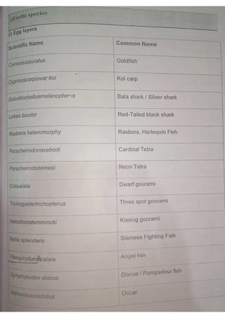 ORNAMENTAL FISH TRADING, OPPORTUNITIES, ACCESSORIES,WATER PARAMETERS | PDF