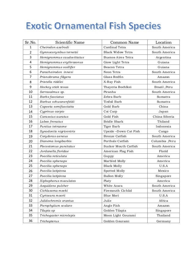 Ornamental Fish Species List