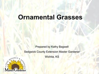 Ornamental Grasses

Prepared by Kathy Bagwell
Sedgwick County Extension Master Gardener
Wichita, KS

 