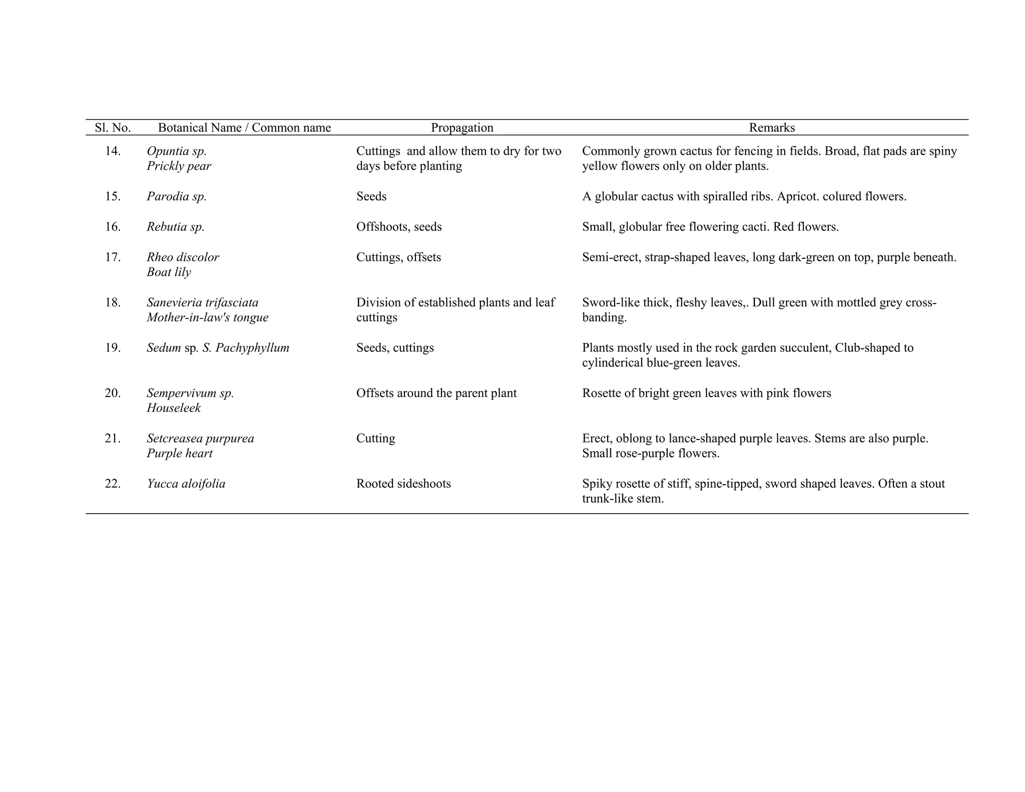 Sl. No. Botanical Name / Common name Propagation Remarks
14. Opuntia sp.
Prickly pear
Cuttings and allow them to dry for two
days before planting
Commonly grown cactus for fencing in fields. Broad, flat pads are spiny
yellow flowers only on older plants.
15. Parodia sp. Seeds A globular cactus with spiralled ribs. Apricot. colured flowers.
16. Rebutia sp. Offshoots, seeds Small, globular free flowering cacti. Red flowers.
17. Rheo discolor
Boat lily
Cuttings, offsets Semi-erect, strap-shaped leaves, long dark-green on top, purple beneath.
18. Sanevieria trifasciata
Mother-in-law's tongue
Division of established plants and leaf
cuttings
Sword-like thick, fleshy leaves,. Dull green with mottled grey cross-
banding.
19. Sedum sp. S. Pachyphyllum Seeds, cuttings Plants mostly used in the rock garden succulent, Club-shaped to
cylinderical blue-green leaves.
20. Sempervivum sp.
Houseleek
Offsets around the parent plant Rosette of bright green leaves with pink flowers
21. Setcreasea purpurea
Purple heart
Cutting Erect, oblong to lance-shaped purple leaves. Stems are also purple.
Small rose-purple flowers.
22. Yucca aloifolia Rooted sideshoots Spiky rosette of stiff, spine-tipped, sword shaped leaves. Often a stout
trunk-like stem.
 