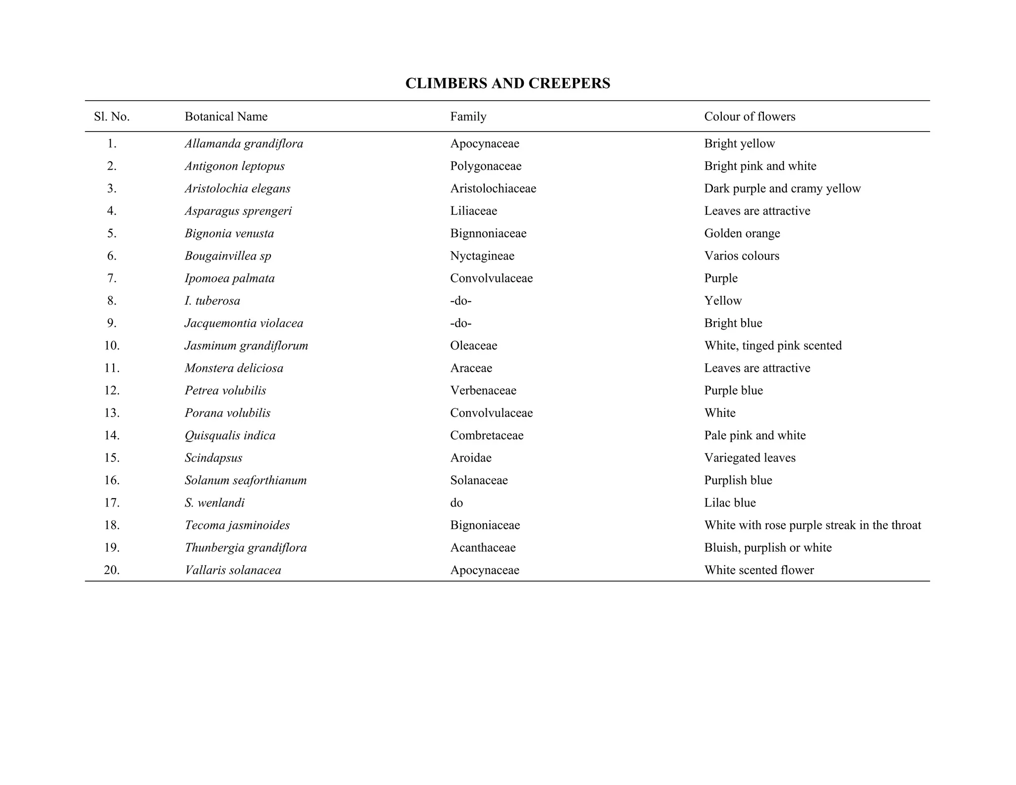 CLIMBERS AND CREEPERS
Sl. No. Botanical Name Family Colour of flowers
1. Allamanda grandiflora Apocynaceae Bright yellow
2. Antigonon leptopus Polygonaceae Bright pink and white
3. Aristolochia elegans Aristolochiaceae Dark purple and cramy yellow
4. Asparagus sprengeri Liliaceae Leaves are attractive
5. Bignonia venusta Bignnoniaceae Golden orange
6. Bougainvillea sp Nyctagineae Varios colours
7. Ipomoea palmata Convolvulaceae Purple
8. I. tuberosa -do- Yellow
9. Jacquemontia violacea -do- Bright blue
10. Jasminum grandiflorum Oleaceae White, tinged pink scented
11. Monstera deliciosa Araceae Leaves are attractive
12. Petrea volubilis Verbenaceae Purple blue
13. Porana volubilis Convolvulaceae White
14. Quisqualis indica Combretaceae Pale pink and white
15. Scindapsus Aroidae Variegated leaves
16. Solanum seaforthianum Solanaceae Purplish blue
17. S. wenlandi do Lilac blue
18. Tecoma jasminoides Bignoniaceae White with rose purple streak in the throat
19. Thunbergia grandiflora Acanthaceae Bluish, purplish or white
20. Vallaris solanacea Apocynaceae White scented flower
 