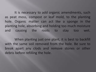 plants soil preparation and planting procedure in landscaping | PPT