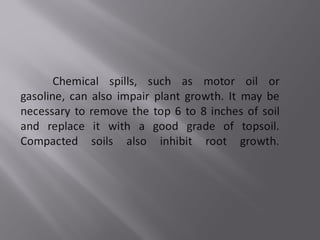 plants soil preparation and planting procedure in landscaping | PPT