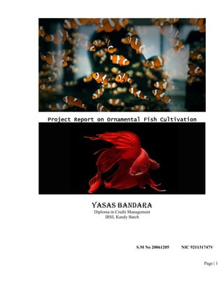 Page | 1
Project Report on Ornamental Fish Cultivation
Yasas Bandara
Diploma in Credit Management
IBSL Kandy Batch
S.M No 20061205 NIC 921131747V
 