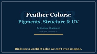 The Science of Feather Colors: Pigments, Structure, and Signaling in ...