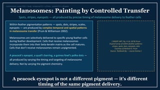 The Science of Feather Colors: Pigments, Structure, and Signaling in ...
