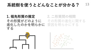 なぜ系統を考慮するのか 演技する鳥類の進化