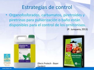 Estrategias de control 
• Organofosforados, carbamatos, piretroides y 
piretrinas para pulverización o baño están 
disponibles para el control de los ornitonisos. 
(Decis Protech - Bayer 
Garden) 
 