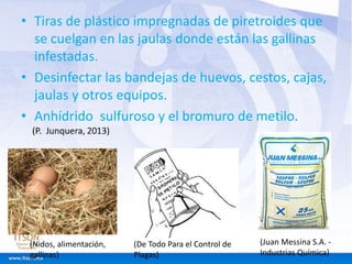 • Tiras de plástico impregnadas de piretroides que 
se cuelgan en las jaulas donde están las gallinas 
infestadas. 
• Desinfectar las bandejas de huevos, cestos, cajas, 
jaulas y otros equipos. 
• Anhídrido sulfuroso y el bromuro de metilo. 
(Juan Messina S.A. - 
Industrias Química) 
(De Todo Para el Control de 
Plagas) 
(Nidos, alimentación, 
gallinas) 
 