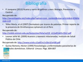 Bibliografía 
• P. Junquera (2013) Ácaros y sarna de gallinas y aves: Biología, Prevención y 
Control 
Recuperado de: 
http://parasitipedia.net/index.php?option=com_content&view=article&id=65&Ite 
mid=119 
• Téllez María, et al (2007) Dermatosis por ácaros de palomas. Primer reporte de 
la presencia de Ornithonyssus sylviarum en el Perú 
Recuperado de: 
http://sisbib.unmsm.edu.pe/bvrevistas/folia/vol19_n2/pdf/a02v19n2.pdf 
• Leonor Jofré M. (2009) Acarosis y zoonosis relacionadas, Instituto de Salud 
Pública de Chile 
Recuperado de: http://www.scielo.cl/pdf/rci/v26n3/art08.pdf 
• Quiroz Romero, Héctor (1999) Parasitología y enfermedades parasitarias de 
animales domésticos. Editorial Limusa. Págs. 804-807 
