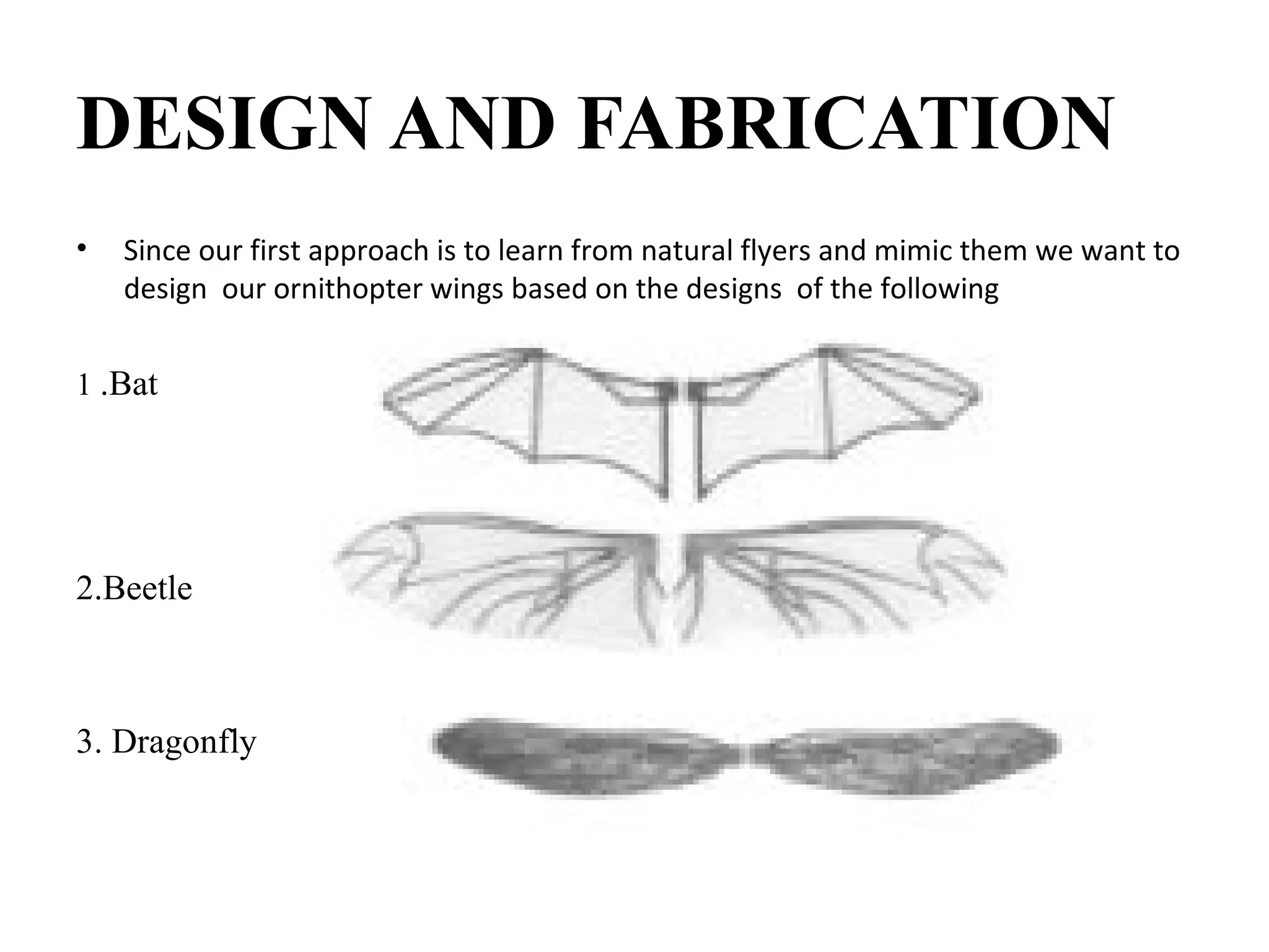 DESIGN AND FABRICATION
• Since our first approach is to learn from natural flyers and mimic them we want to
design our ornithopter wings based on the designs of the following
1 .Bat
2.Beetle
3. Dragonfly
 
