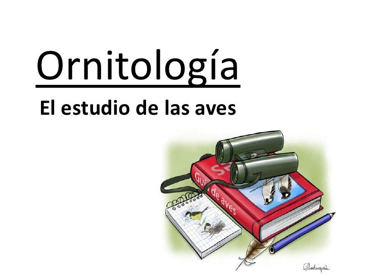 ornitología