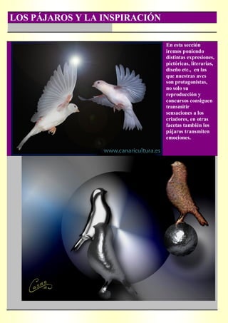 LOS PÁJAROS Y LA INSPIRACIÓN

                               En esta sección
                               iremos poniendo
                               distintas expresiones,
                               pictóricas, literarias,
                               diseño etc., en las
                               que nuestras aves
                               son protagonistas,
                               no solo su
                               reproducción y
                               concursos consiguen
                               transmitir
                               sensaciones a los
                               criadores, en otras
                               facetas también los
                               pájaros transmiten
                               emociones.
 
