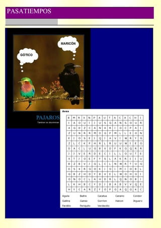 PASATIEMPOS
 