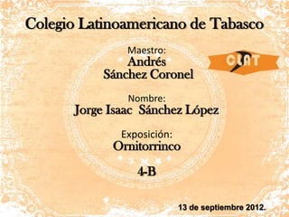 Colegio Latinoamericano de Tabasco
                Maestro:
               Andrés
           Sánchez Coronel
                Nombre:
       Jorge Isaac Sánchez López
               Exposición:
             Ornitorrinco
                  4-B

                             13 de septiembre 2012.
 