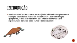  Neste trabalho eu irei falar sobre a espécie ornitorrinco, que está em
extinção, irei dizer as causas da sua extinção, a sua distribuição
geográfica, o seu habitat natural e hábitos alimentares, a sua
reprodução e como se pode salvar o ornitorrinco!!!
 