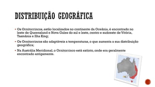  Os Ornitorrincos, estão localizados no continente da Oceânia, é encontrado no
leste de Queensland e Nova Gales do sul e leste, centro e sudoeste de Vitória,
Tasmânia e Ilha King;
 Os Ornitorrincos são adaptáveis a temperaturas, o que aumenta a sua distribuição
geográfica;
 Na Austrália Meridional, o Ornitorrinco está extinto, onde era geralmente
encontrado antigamente.
 