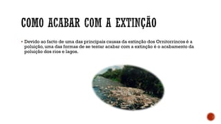 Devido ao facto de uma das principais causas da extinção dos Ornitorrincos é a
poluição, uma das formas de se tentar acabar com a extinção é o acabamento da
poluição dos rios e lagos.
 