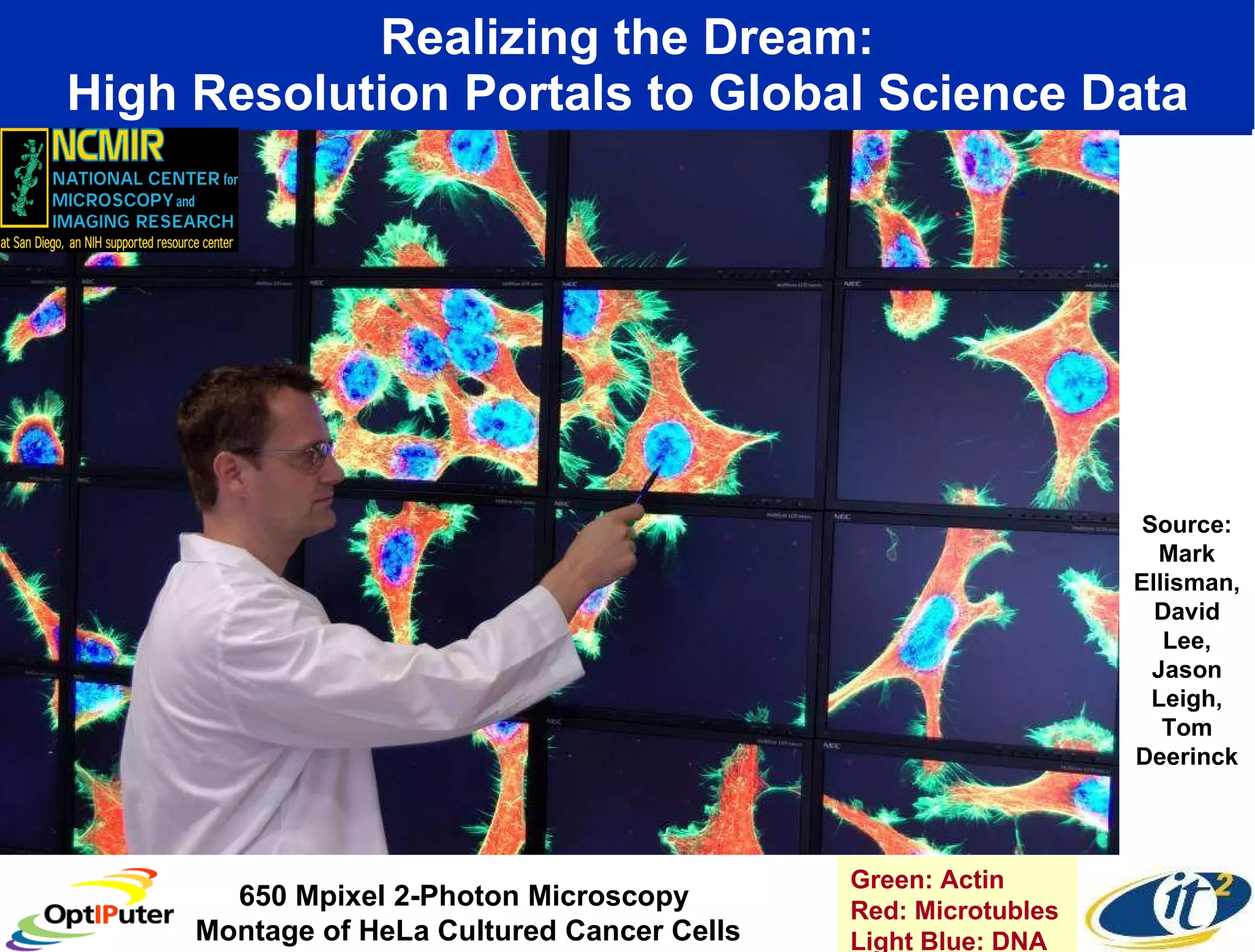 Realizing the Dream: High Resolution Portals to Global Science Data 650 Mpixel 2-Photon Microscopy  Montage of HeLa Cultured Cancer Cells Green: Actin Red: Microtubles Light Blue: DNA Source: Mark Ellisman, David Lee, Jason Leigh, Tom Deerinck 