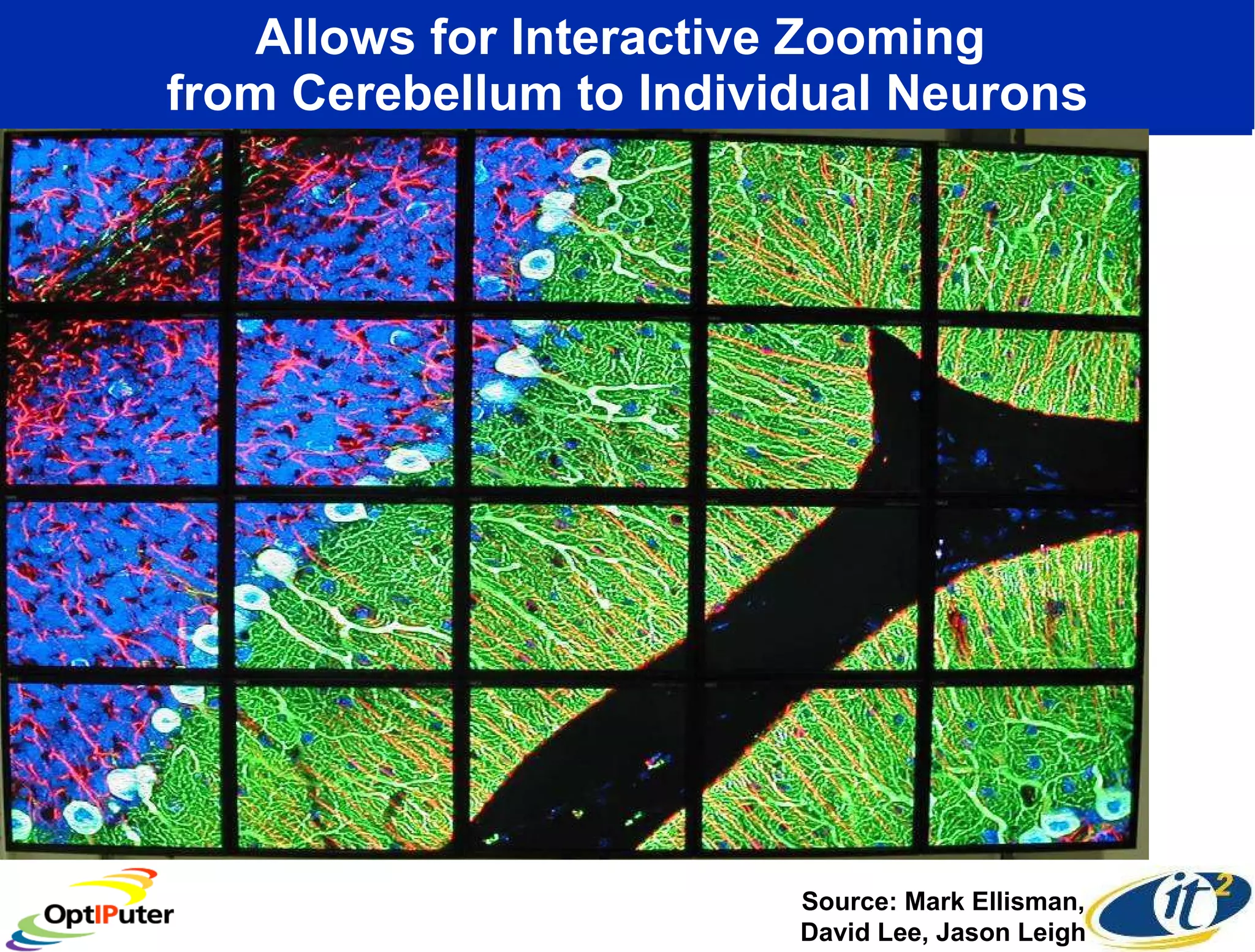 Allows for Interactive Zooming  from Cerebellum to Individual Neurons Source: Mark Ellisman, David Lee, Jason Leigh 