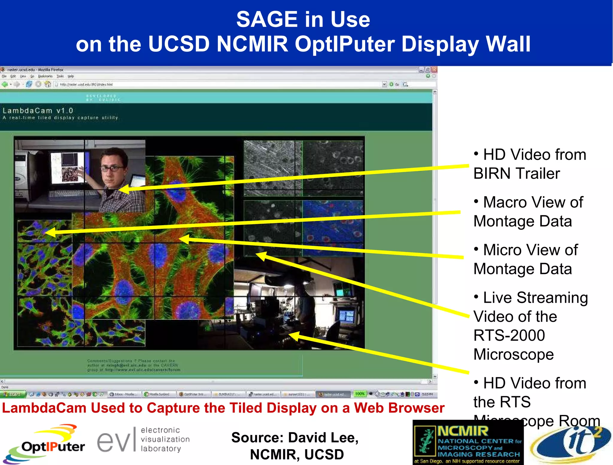 SAGE in Use  on the UCSD NCMIR OptIPuter Display Wall  LambdaCam Used to Capture the Tiled Display on a Web Browser HD Video from BIRN Trailer Macro View of Montage Data Micro View of Montage Data Live Streaming Video of the RTS-2000 Microscope HD Video from the RTS Microscope Room Source: David Lee,  NCMIR, UCSD 