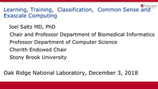 Learning, Training, Classification, Common Sense and
Exascale Computing
Joel Saltz MD, PhD
Chair and Professor Department of Biomedical Informatics
Professor Department of Computer Science
Cherith Endowed Chair
Stony Brook University
Oak Ridge National Laboratory, December 3, 2018
 