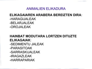 ANIMALIEN ELIKADURA
ELIKAGAIAREN ARABERA BEREIZTEN DIRA:
-HARAGIJALEAK
-BELARJALEAK
-OROJALEAK
HAINBAT MODUTARA LORTZEN DITUZTE
ELIKAGAIAK:
-SEDIMENTU JALEAK
-PARASITOAK
-SARRASKIJALEAK
-IRAGAZLEAK
-HARRAPARIAK
 