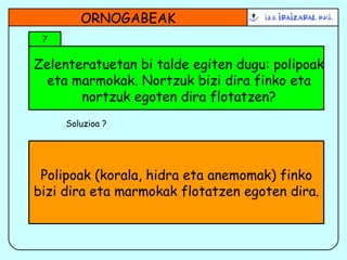 Zelenteratuetan bi talde egiten dugu: polipoak eta marmokak. Nortzuk bizi dira finko eta nortzuk egoten dira flotatzen? ORNOGABEAK 7 Soluzioa ? Polipoak (korala, hidra eta anemomak) finko bizi dira eta marmokak flotatzen egoten dira. 