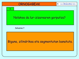 Nolakoa da lur-zizarearen gorputza? ORNOGABEAK 8 Soluzioa ? Biguna, zilindrikoa eta segmentutan banatuta. 