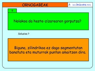 Nolakoa da heste-zizarearen gorputza? ORNOGABEAK 9 Soluzioa ? Biguna, zilindrikoa ez dago segmentutan banatuta eta muturrak puntan amaitzen dira.  