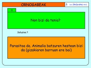 Non bizi da tenia? ORNOGABEAK 11 Soluzioa ? Parasitoa da. Animalia batzuren hestean bizi da (gizakiaren barruan ere bai) 