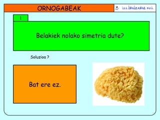 Belakiek nolako simetria dute? ORNOGABEAK 1 Soluzioa ? Bat ere ez. 