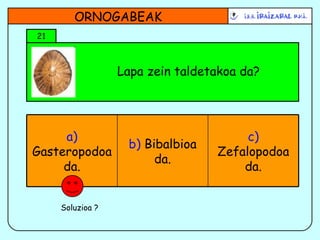 Lapa zein taldetakoa da? 21 ORNOGABEAK Soluzioa ? b)  Bibalbioa da. c)  Zefalopodoa da. a)  Gasteropodoa da. 