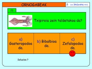 Txipiroia zein taldetakoa da? 23 ORNOGABEAK Soluzioa ? b)  Bibalbioa da. c)  Zefalopodoa da. a)  Gasteropodoa da. 