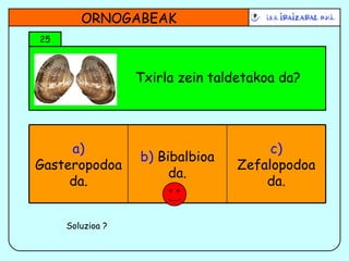 Txirla zein taldetakoa da? 25 ORNOGABEAK Soluzioa ? b)  Bibalbioa da. c)  Zefalopodoa da. a)  Gasteropodoa da. 