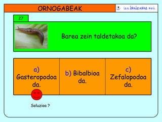 Barea zein taldetakoa da? 27 ORNOGABEAK Soluzioa ? b)  Bibalbioa da. c)  Zefalopodoa da. a)  Gasteropodoa da. 