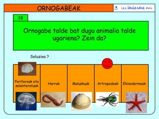 Ornogabe talde bat dugu animalia talde ugariena? Zein da? ORNOGABEAK 28 Soluzioa ? Poriferoak eta zelenteratuak Harrak Moluskuak Artropodoak Ekinodermoak  