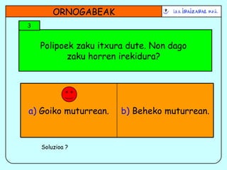 Polipoek zaku itxura dute. Non dago zaku horren irekidura? ORNOGABEAK 3 Soluzioa ? b)  Beheko muturrean. a)  Goiko muturrean. 